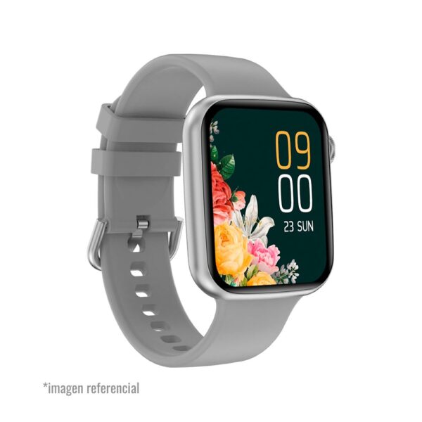 Smart Watch Fitness Gris Teros (TE8080)